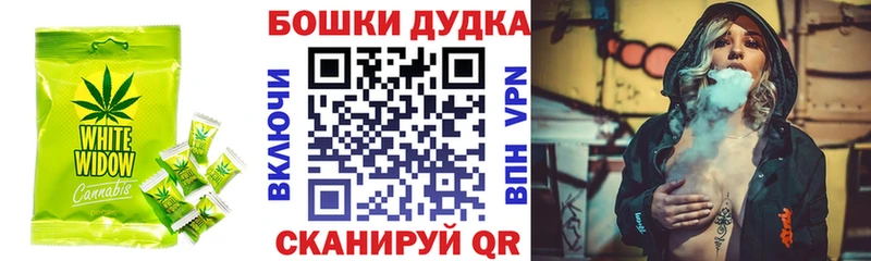 купить закладку  Славск  МЕГА ТОР  Canna-Cookies марихуана 