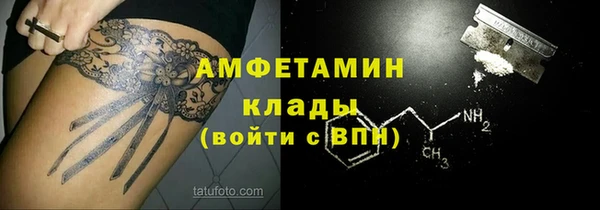 прущие грибы Покачи