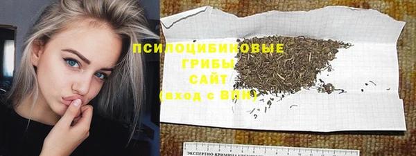 сатива Покров