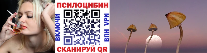 Псилоцибиновые грибы Cubensis  МЕГА сайт  Славск  где купить наркоту 